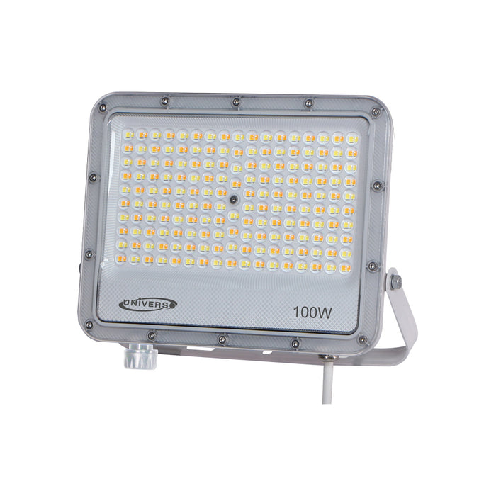 FARETTO LED BK05-100W-B3C