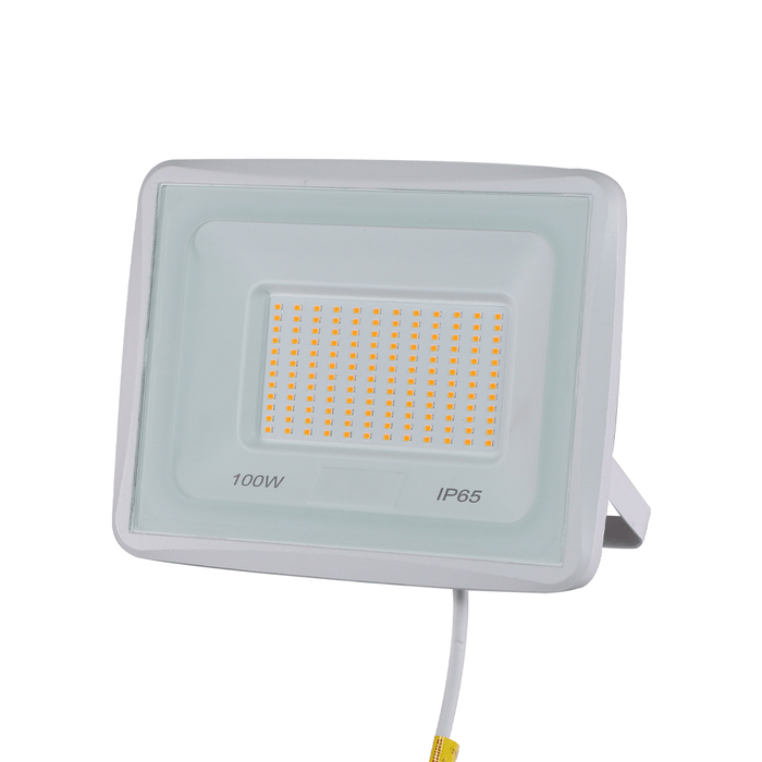FARETTO LED EK02-100W-BC