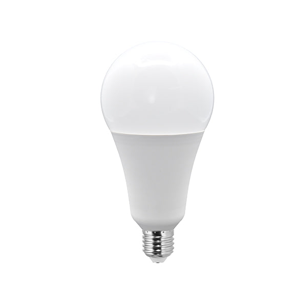 Lampadina Led a Bulbo 20W E27 A95