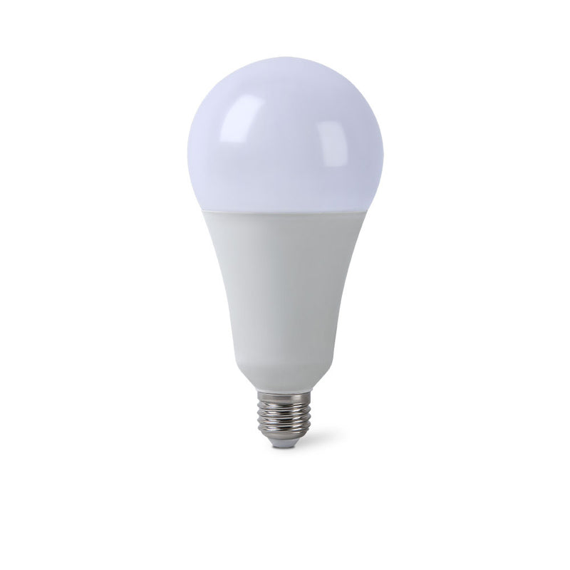 LAMPADINA LED E27 20W A95-09F