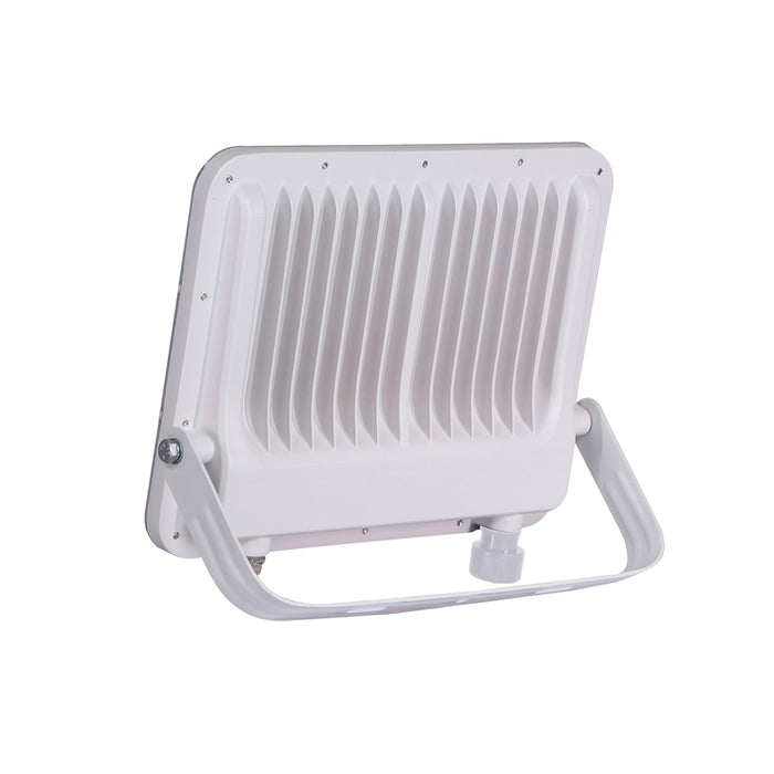 FARETTO LED BK05-100W-B3C