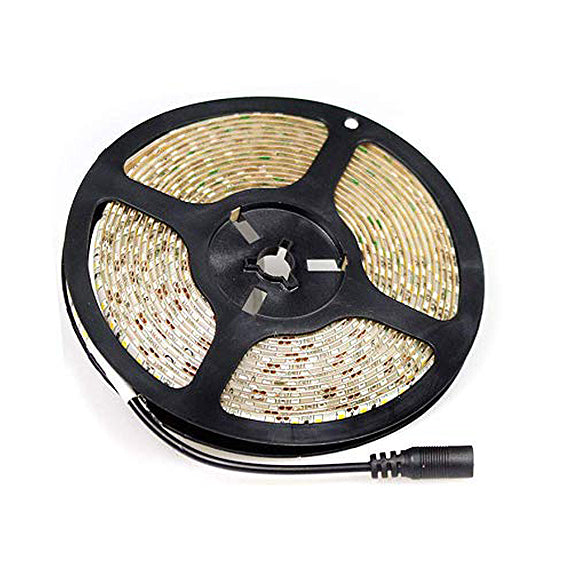 Striscia Led SMD 2835 5M 12V IP55