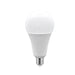 Lampadina Led a Bulbo 20W E27 A95