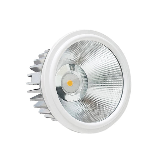 Faretto Led Bianco 30W AR111