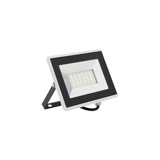 Faretto Proiettore Led Bianco 30W IP65