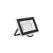 Faretto Proiettore Led Bianco 30W IP65