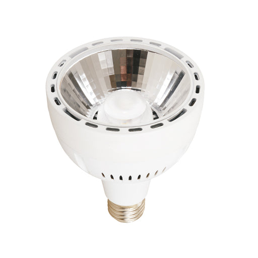 Lampadina Led Bianca 36W E27 P30